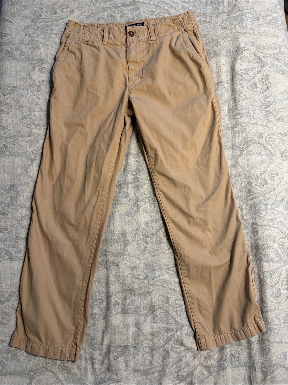 American Eagle Outfitters Men's Chino Pants in Tan